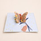 Butterfly Wishes